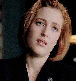 tumblr_inline_nych6lDu411szdzir_500